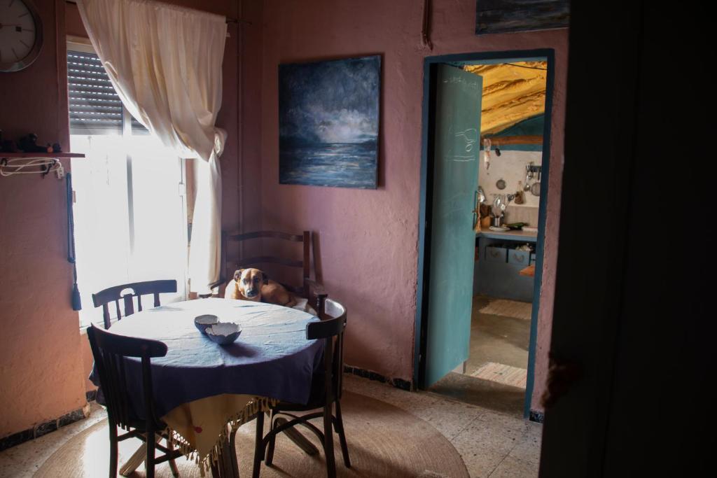 El Carmen, Ribera Alta – Precios actualizados 2022