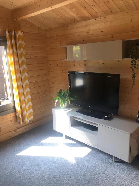 TV a/nebo společenská místnost v ubytování Nancy's Cabin