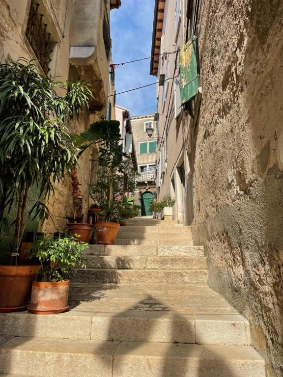 Zdjęcie z galerii obiektu Yellow House Rovinj w Rovinj
