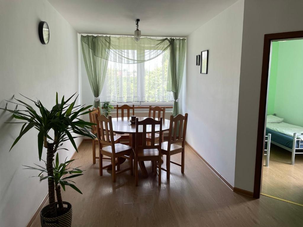 a dining room with a table and chairs and a plant at Tanie Spanie in Międzylesie