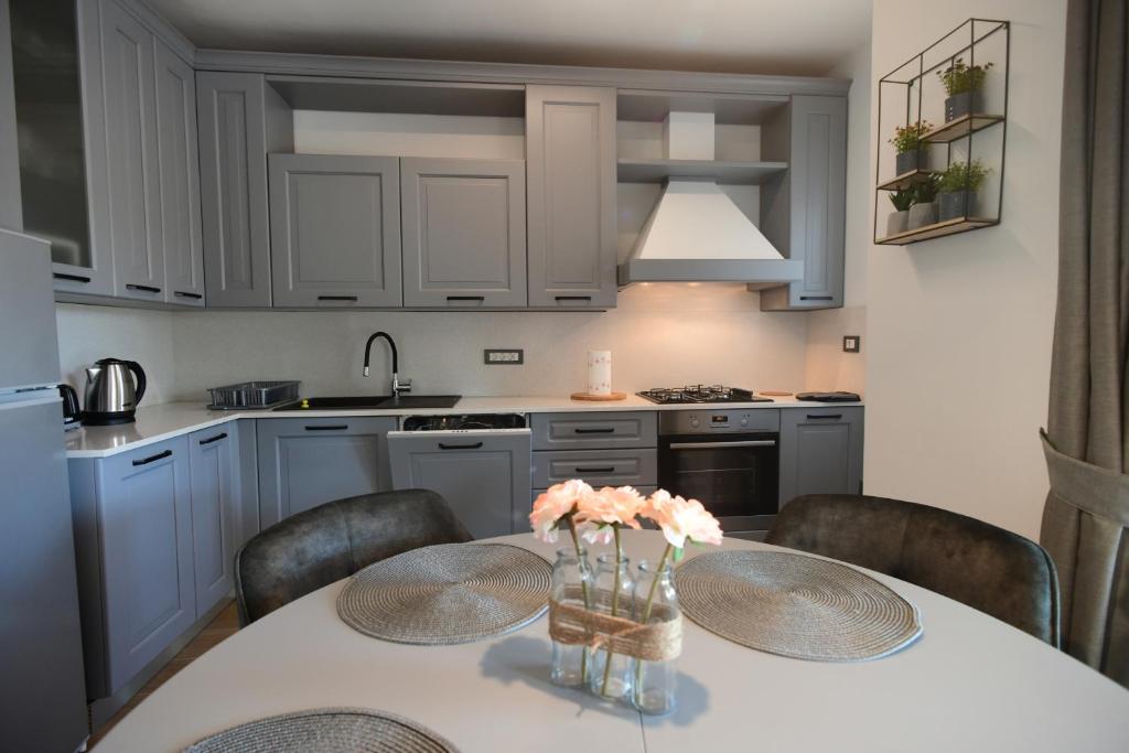 Kuchyň nebo kuchyňský kout v ubytování Luxury Apartment Vabriga