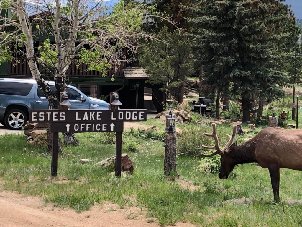 a moose standing next to a sign at a lake lodge at Estes Lake Lodge in Estes Park