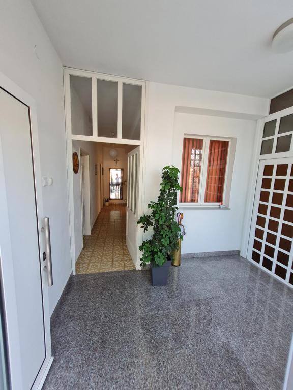 Fotografie z fotogalerie ubytování Guest House Barba v destinaci Bibinje