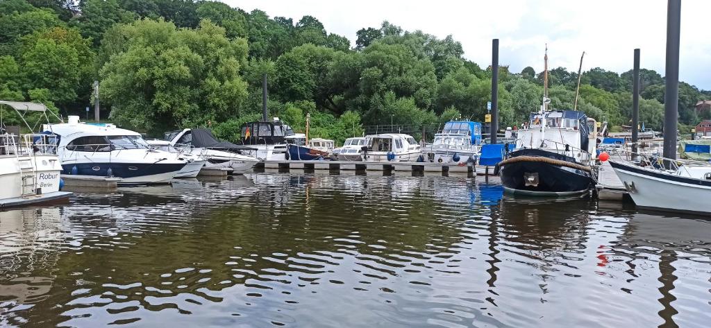 Příroda nedaleko ubytování na lodi
