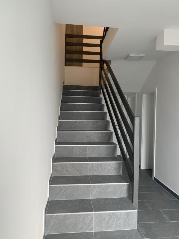 Filipovic rent a car & apartments - Studio With Balcony