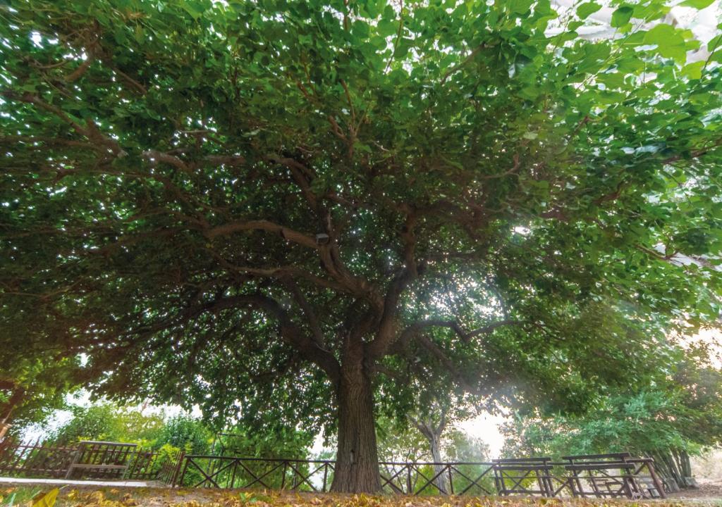 Derechos de imagen reservados por Booking.com