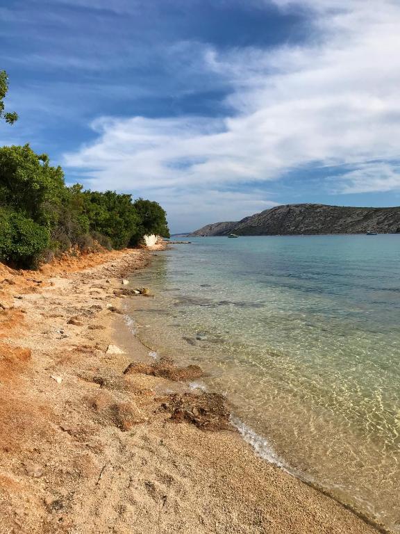 a sandy beach with trees and the water at Apartments Maria Rab in Barbat na Rabu