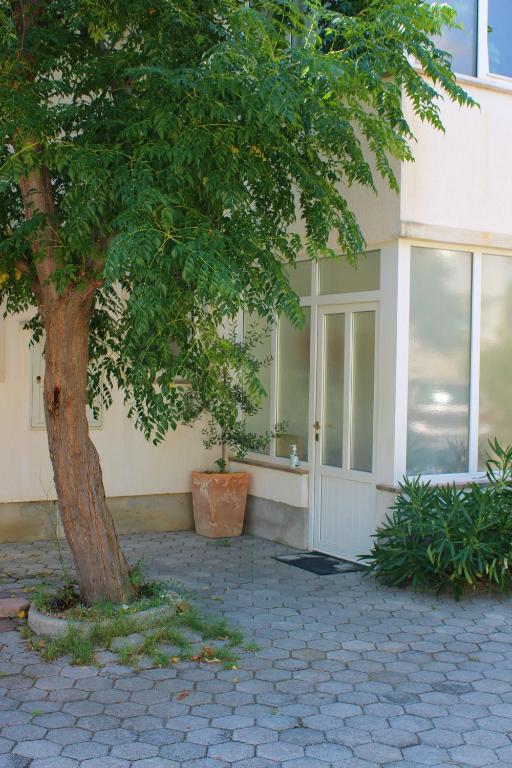 a tree sitting in front of a building at Apartments Maria Rab in Barbat na Rabu