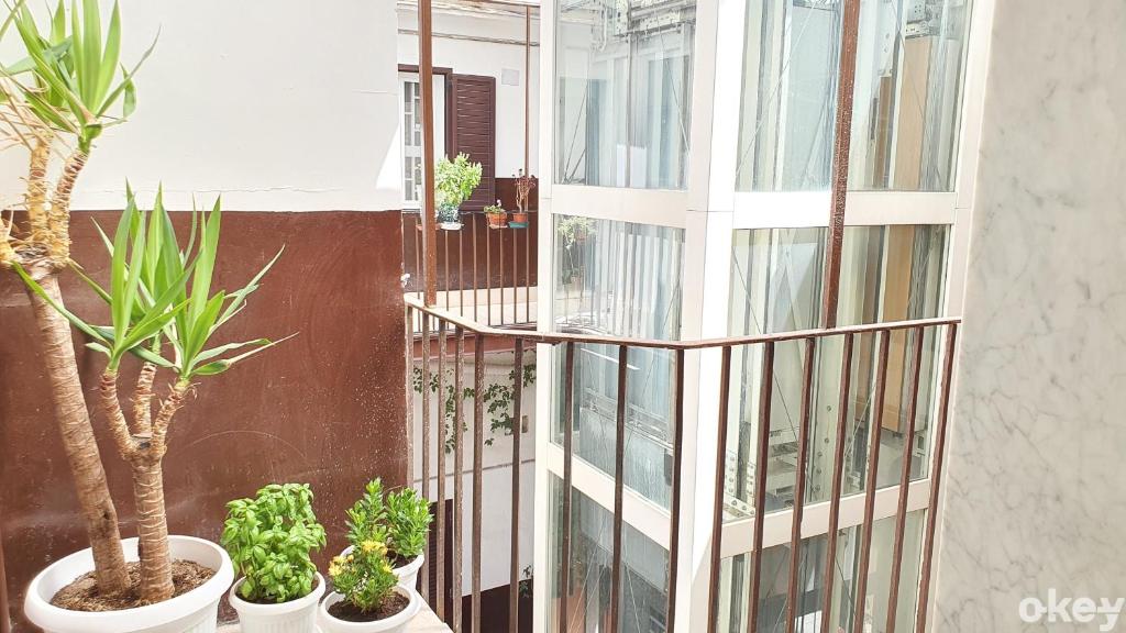 Balkon lub taras w obiekcie Domus Garruba - Casa Vacanze Bari