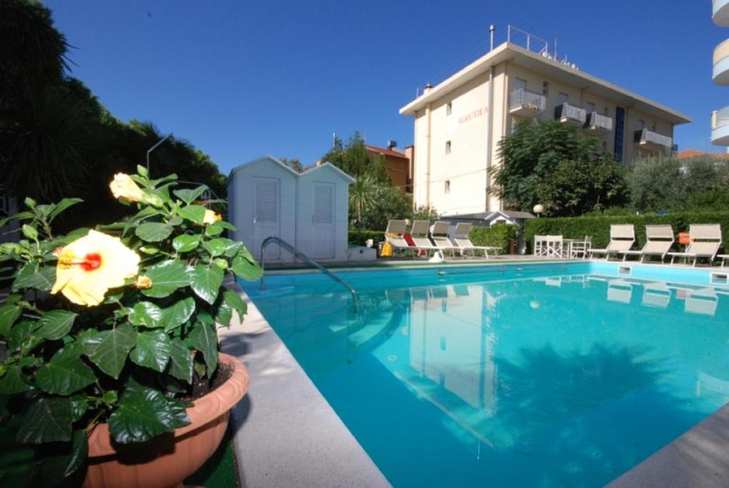 a swimming pool with a plant next to a building at Hotel Gaudia in Riccione