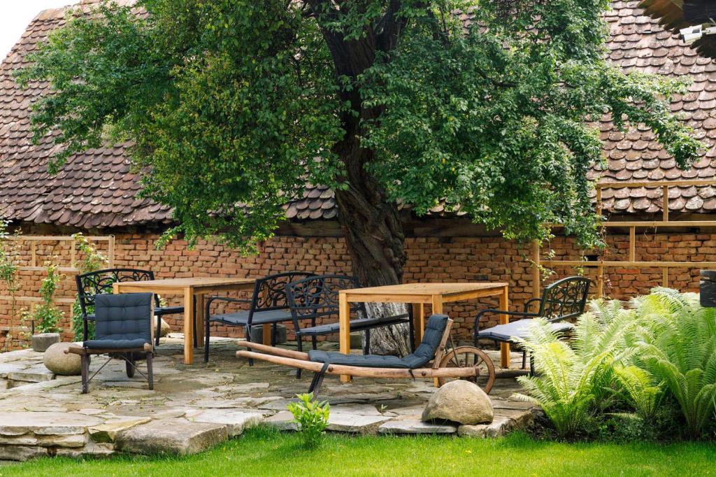 Zahrada ubytování Viscri 44