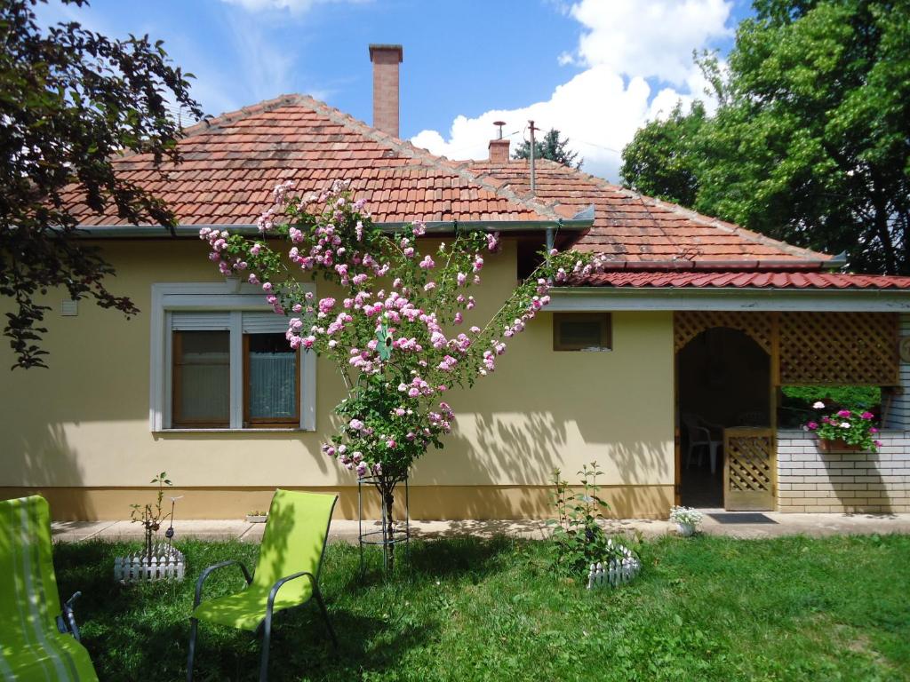 Zahrada ubytování Vida-lak