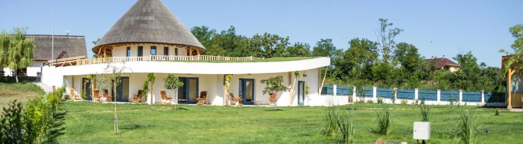 une grande maison avec un toit de chaume sur un champ dans l'établissement Pensiunea NEST, à Dunavăţu de Jos