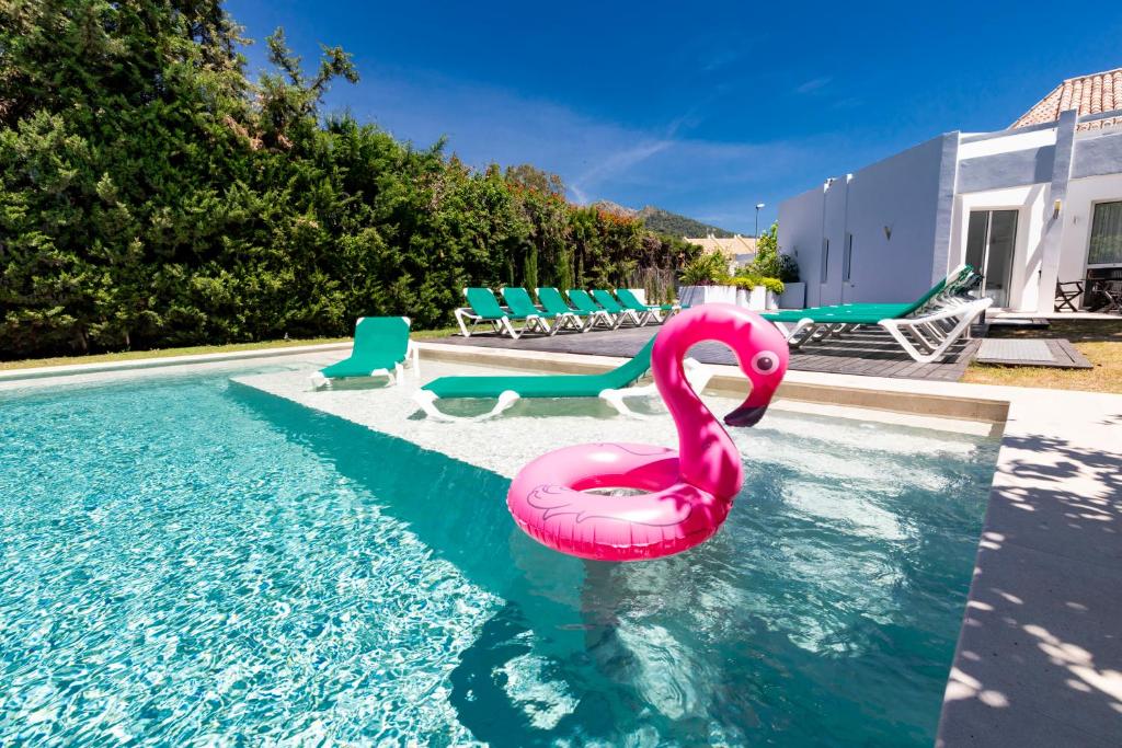 un fenicottero rosa in acqua in piscina di Villa Flamingos Marbella a Marbella