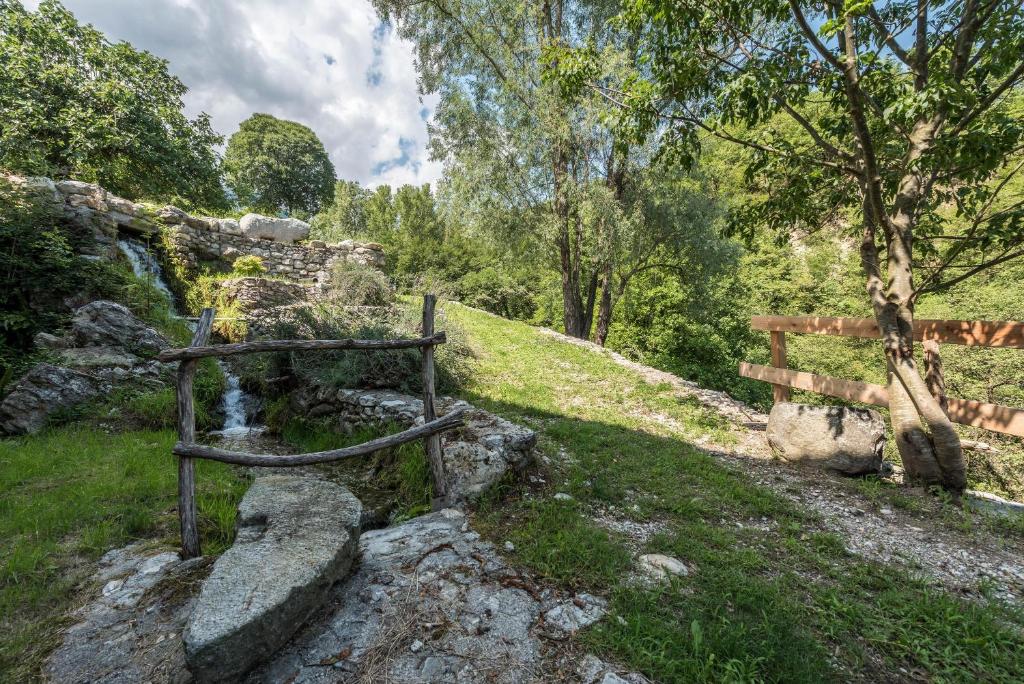 Przyroda w pobliżu tego apartamentu
