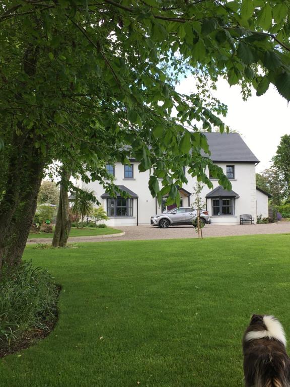 einem Hund, der im Gras vor einem Haus sitzt in der Unterkunft Kilbawn Country House in Kilkenny