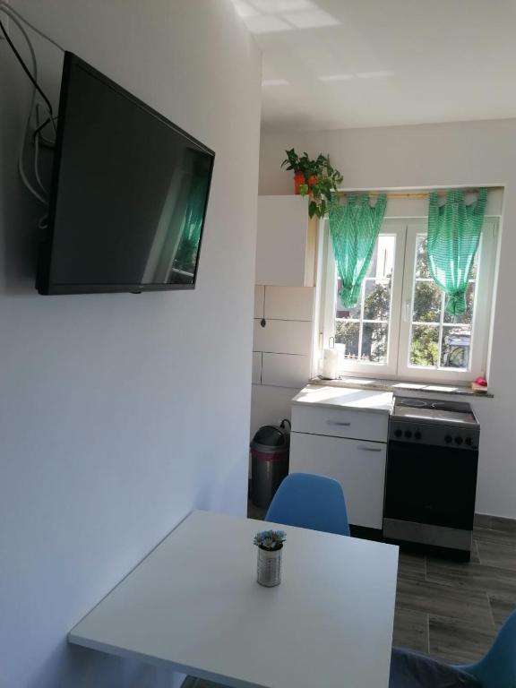 TV a/nebo společenská místnost v ubytování Apartments Luka