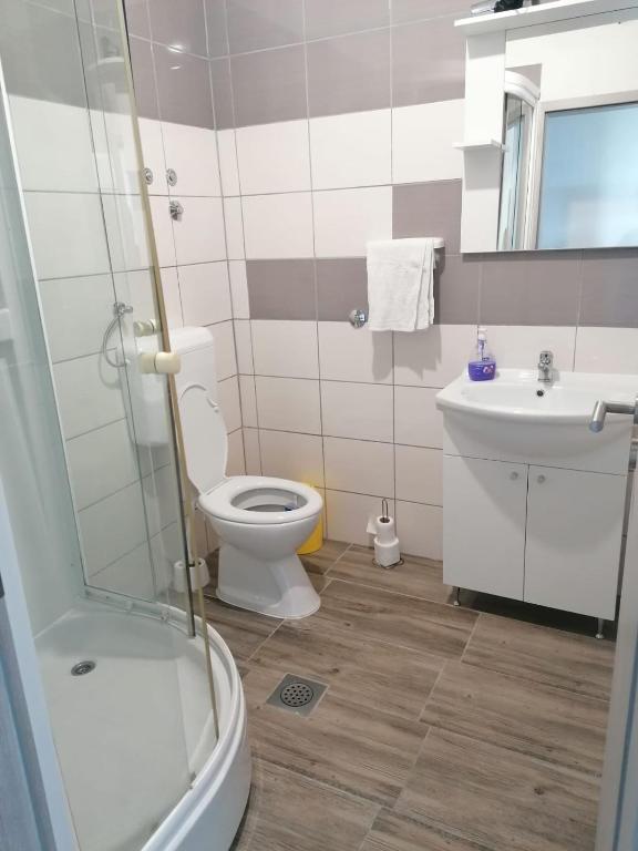 Koupelna v ubytování Apartments Luka