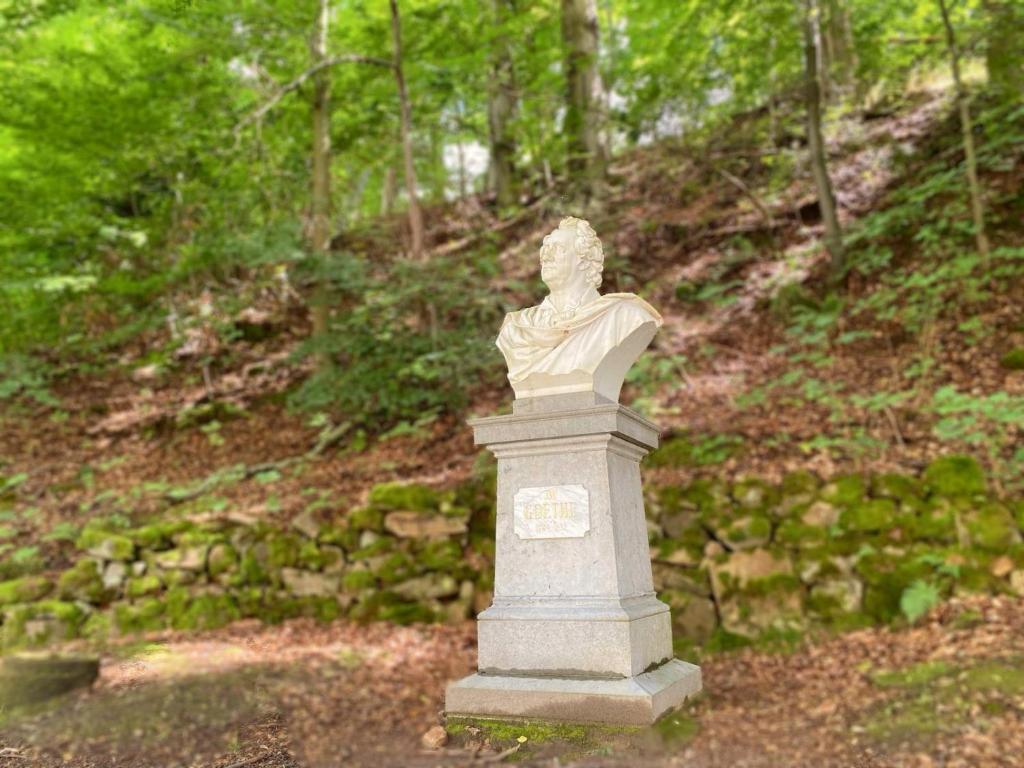 Apartmá Marie 1880 - 12