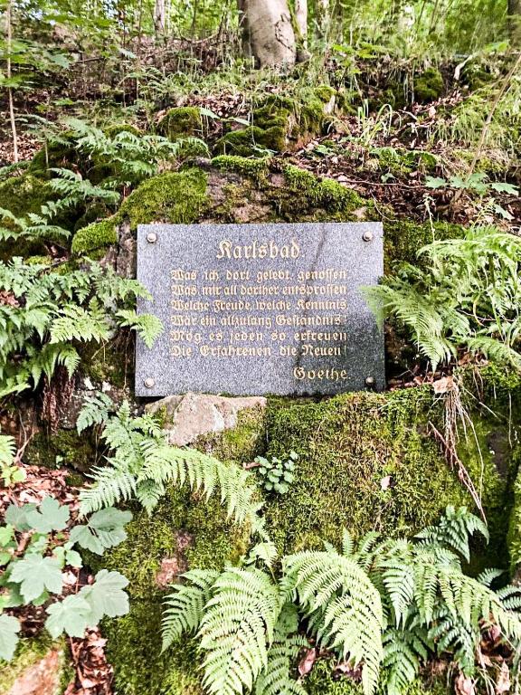 Apartmá Marie 1880 - 14