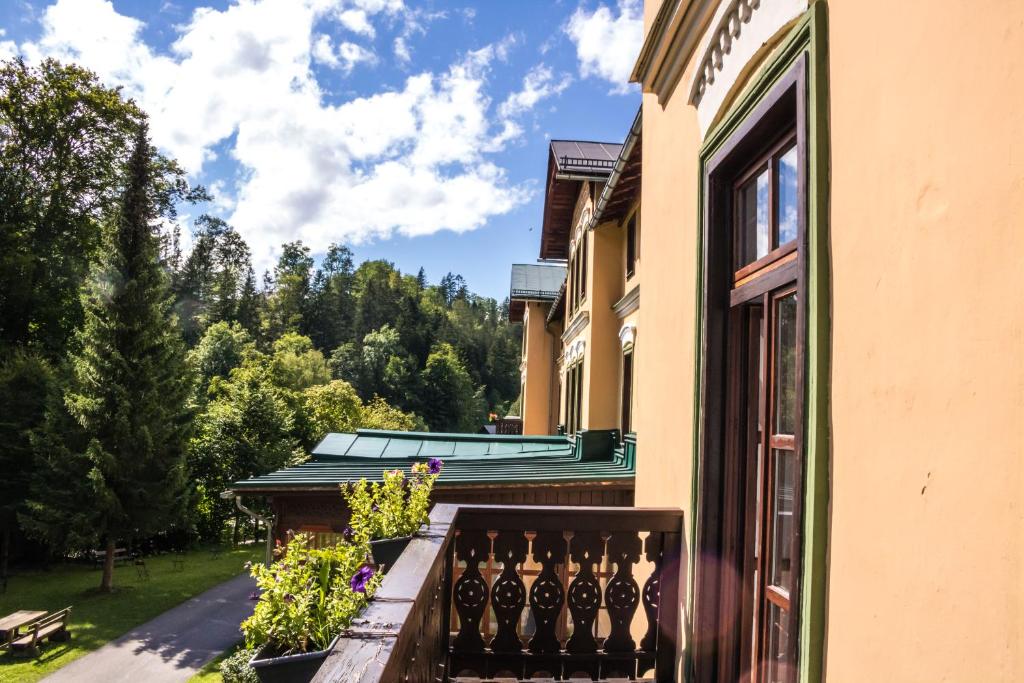 Zahrada ubytování Gasthof Elisabeth
