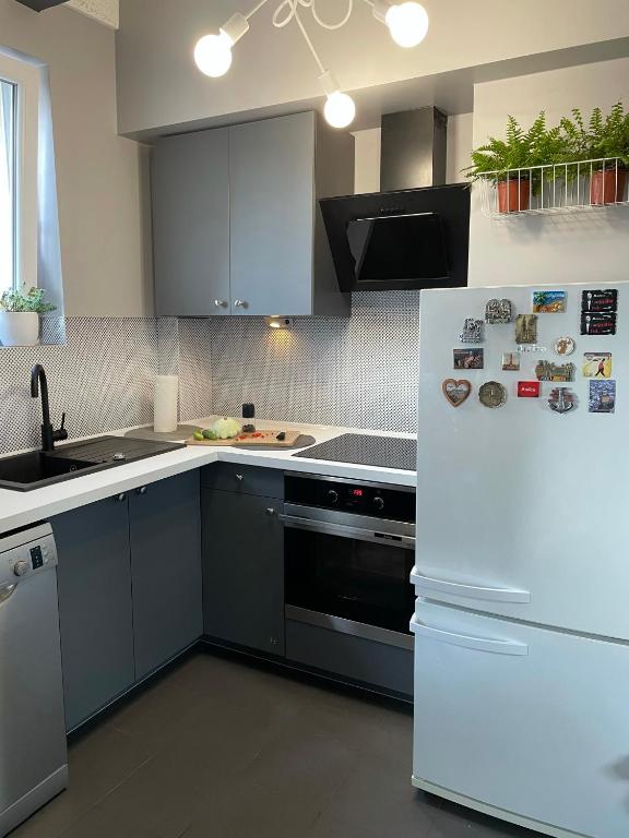 Kuchyňa alebo kuchynka v ubytovaní Grey Gucci Apartment City Center