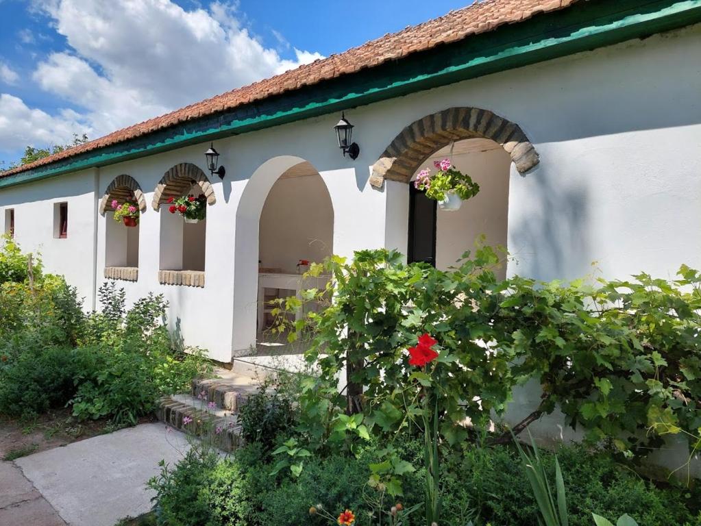 Zahrada ubytování EVA HOUSE