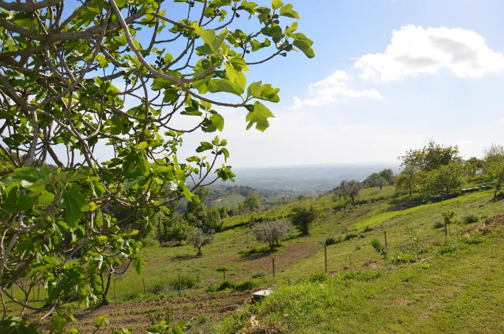 Aussicht von der Spitze eines Hügels in der Unterkunft Casa Franceschini in Poggio Mirteto