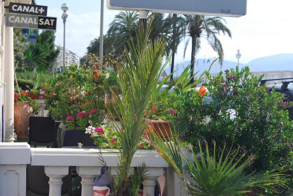 Hôtel Azur - Resim 42