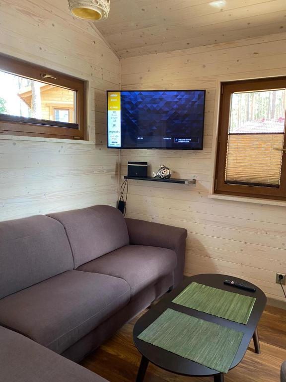 Televízia a/alebo spoločenská miestnosť v ubytovaní Domek Dziesiątka Borsk nad samym jeziorem - pierwsza linia