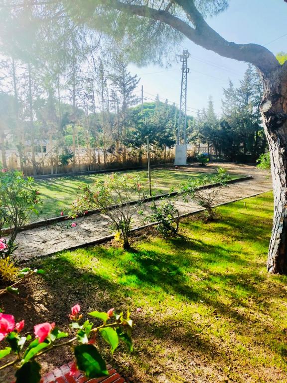 Vonkajšia záhrada v ubytovaní Agradable casa de campo con piscina en la Barrosa