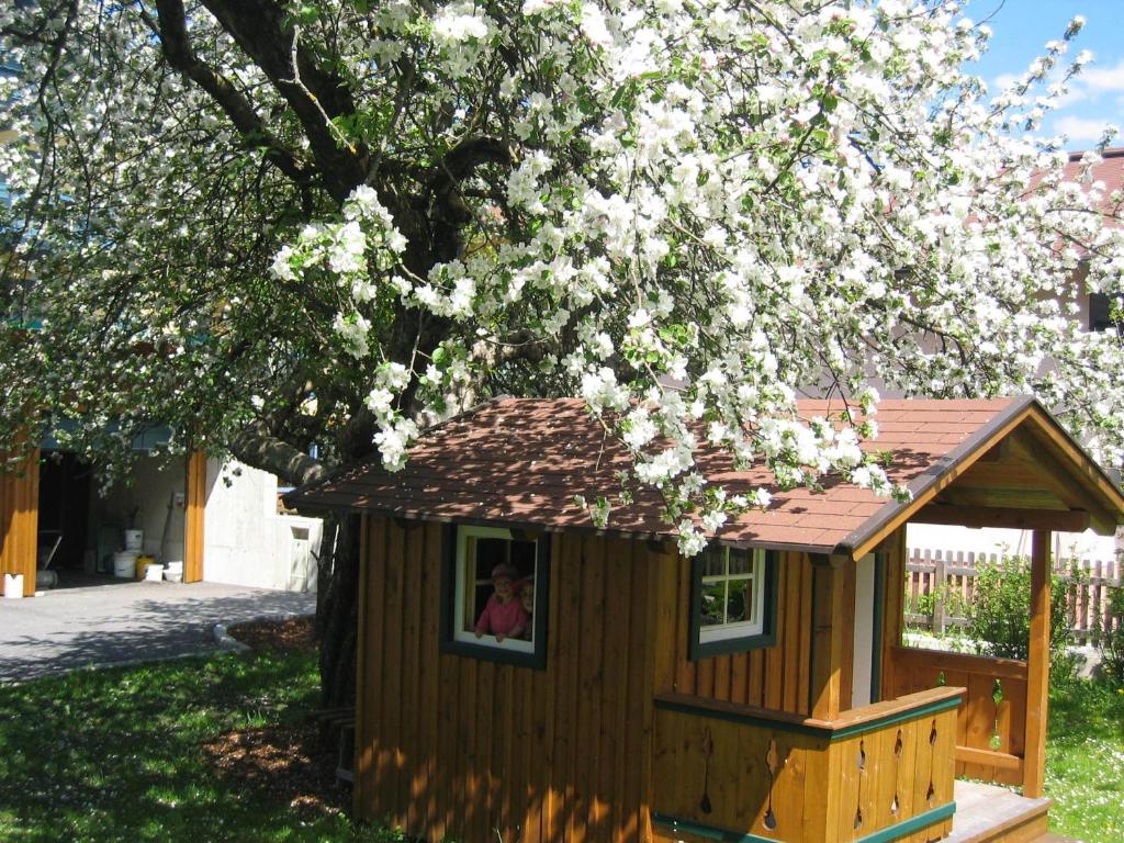 Zahrada ubytování Gästehaus Pilz Schladming