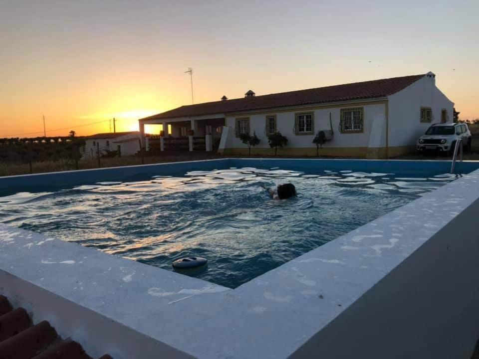 a person swimming in a pool with the sunset in the background at Monte da Figueira in Amareleja