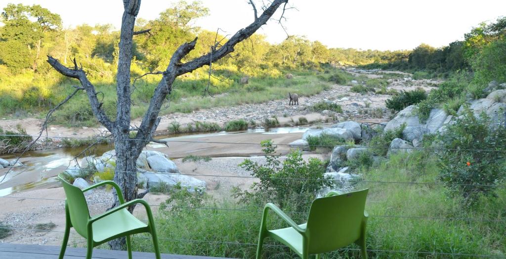two green chairs sitting next to a river at Greenfire Game Lodge in Balule Game Reserve