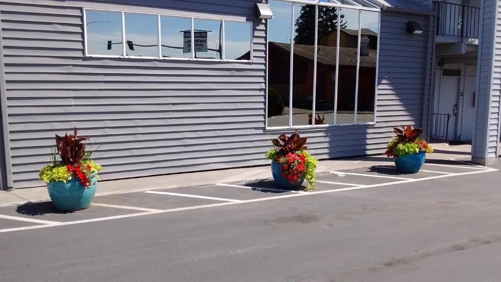 three potted plants in front of a house at Cocusa Motel in Burlington