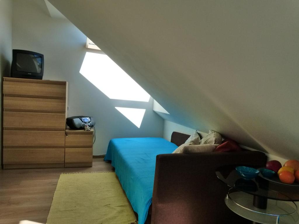 Televízia a/alebo spoločenská miestnosť v ubytovaní Apartament BB koło Cerkwi