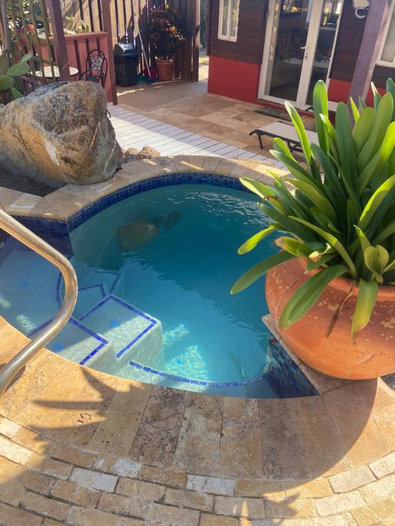 Cozy studio with private spa, Oranjestad – Updated 2024 Prices