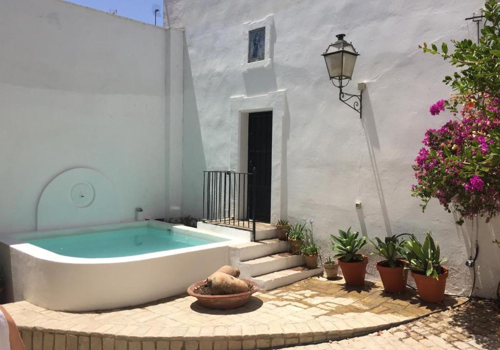 uma banheira num quintal com vasos de plantas em Aljarafe Paradise by Valcambre em Castilleja de la Cuesta