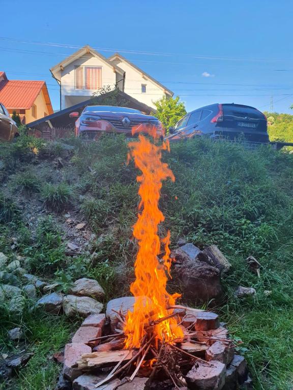 Fotografie z fotogalerie ubytování Casa Denisa Vidraru transfgarasan v destinaci Căpăţîneni-Ungureni