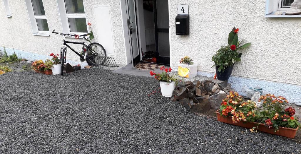 Jízda na kole v ubytování Doly 4 nebo okolí