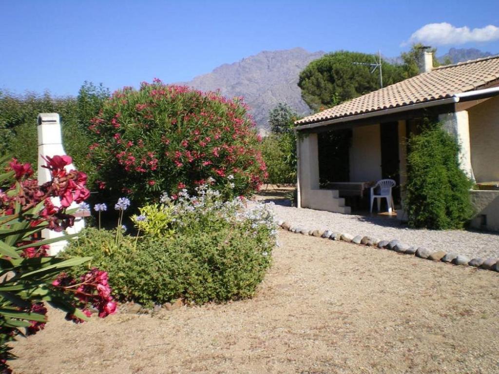 un jardin fleuri et une maison avec une chaise dans l'établissement Aux pieds des montagnes, à Calenzana