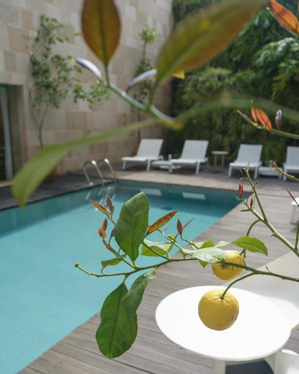 Bazén v ubytování Riad Fes - Relais & Châteaux nebo v jeho okolí