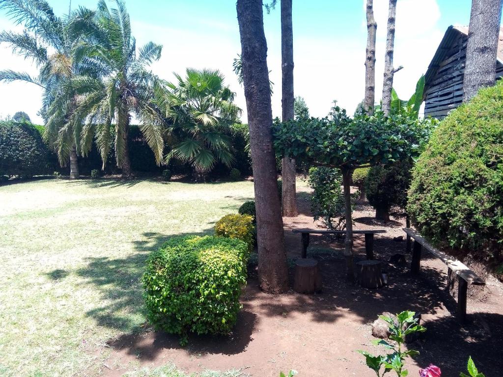 Zahrada ubytování Greenfield Homestay -Full board