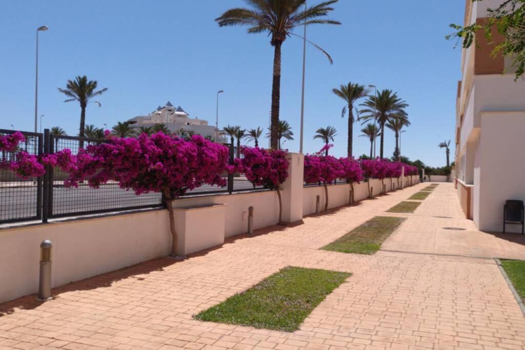 Zahrada ubytování Playa Serena - Mar y Golf
