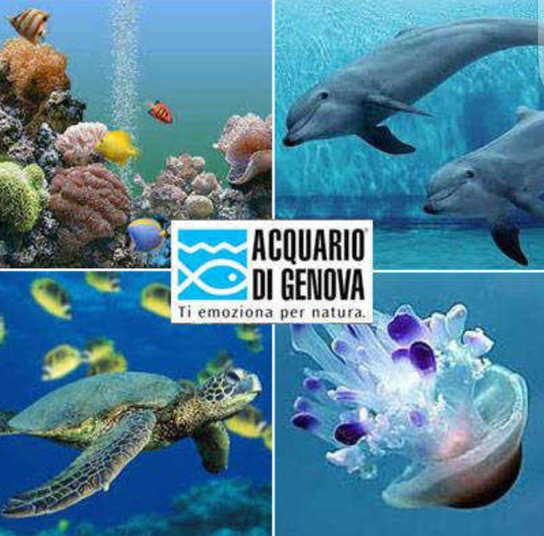 HNN Luxury Suites - Resim 39