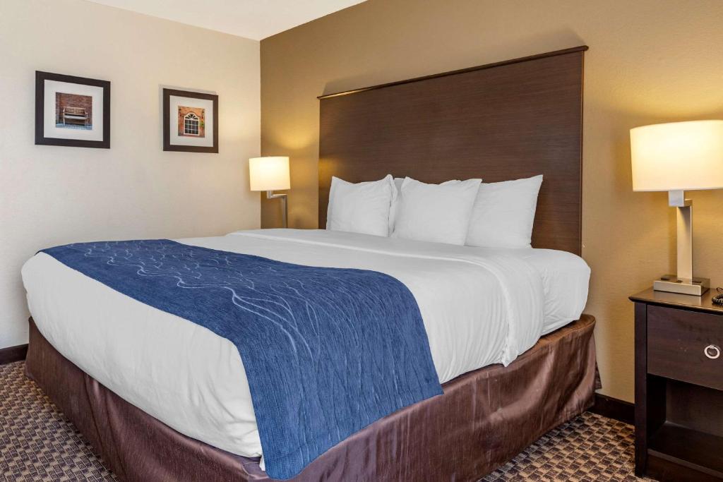 Comfort Inn Wings Stadium photo