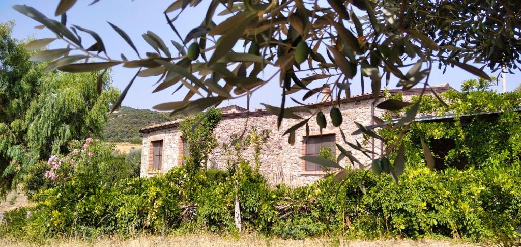 Rocca Imperiale – Photos 2
