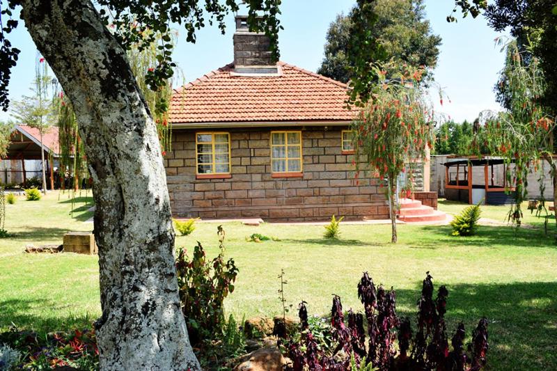 Zahrada ubytování Ol marei Home