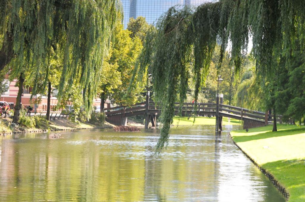 Hotel Bienvenue - Resim 31