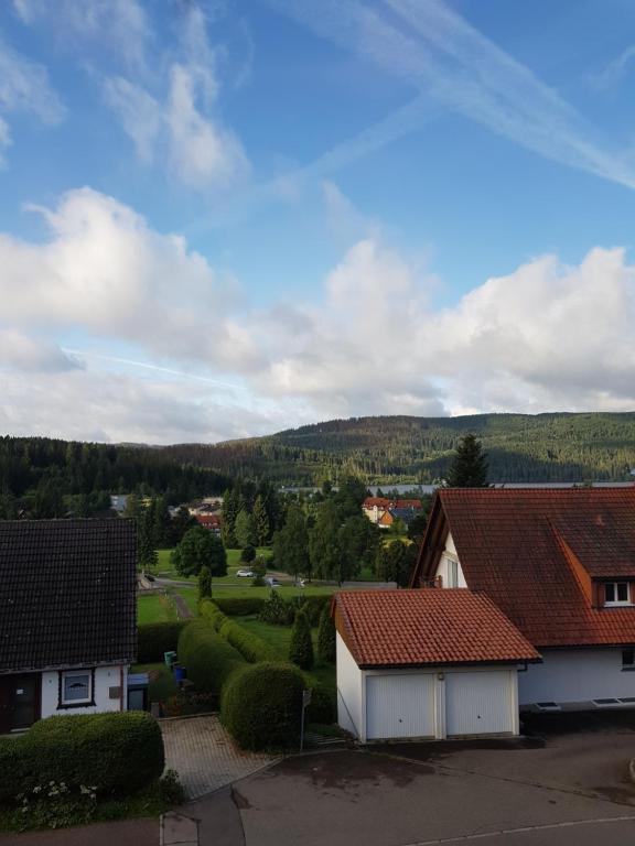 una vista desde el techo de una casa en FeWo Untere Ringstrasse 3, en Schluchsee